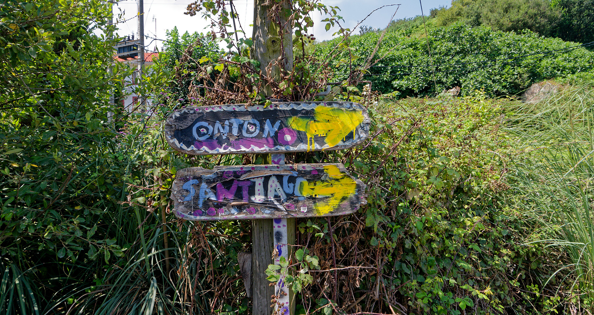 camino sign