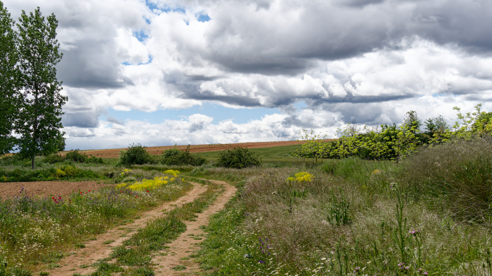 winding dirt road