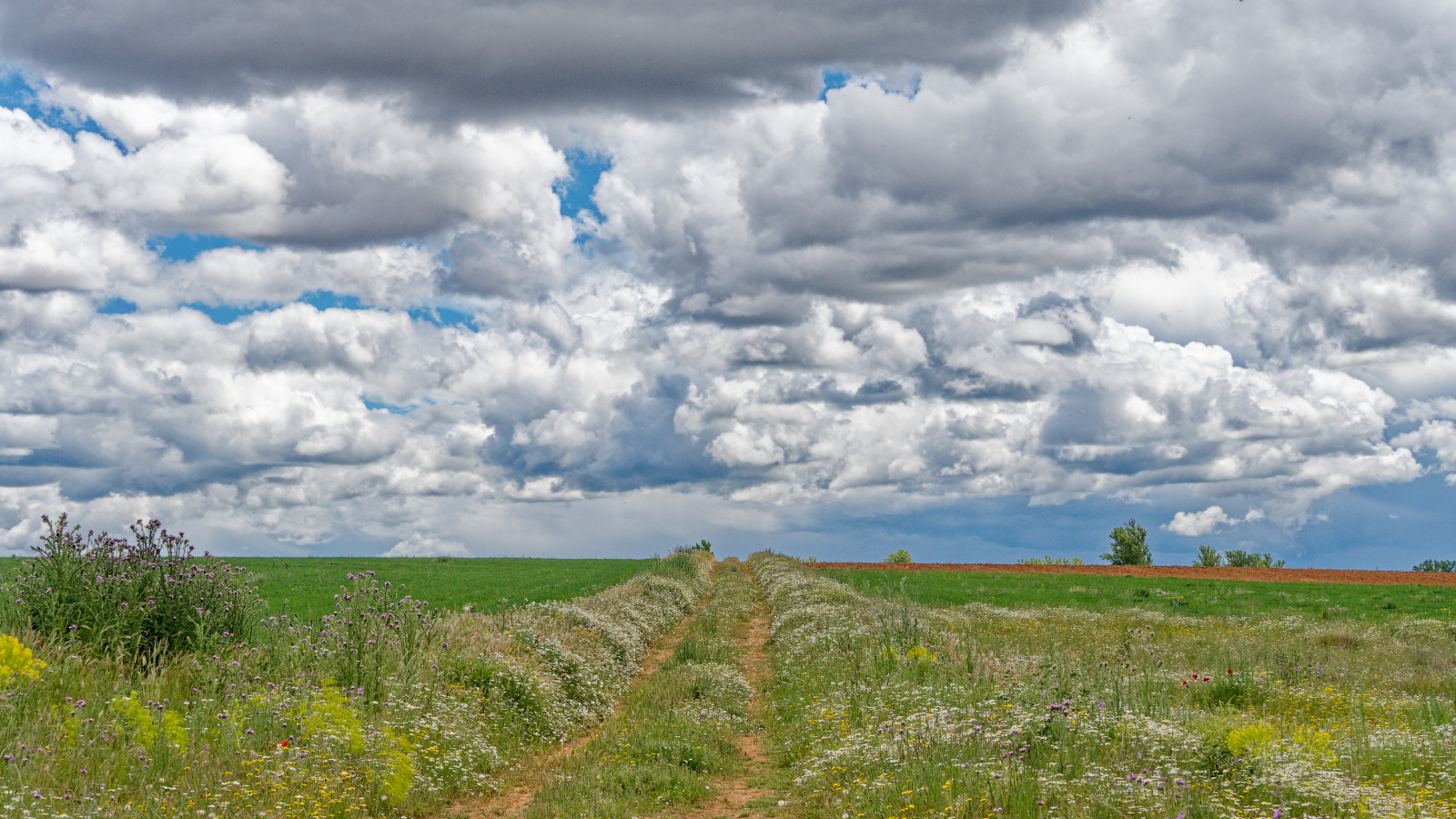 winding dirt road