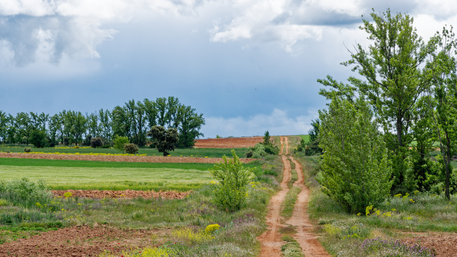 winding dirt road