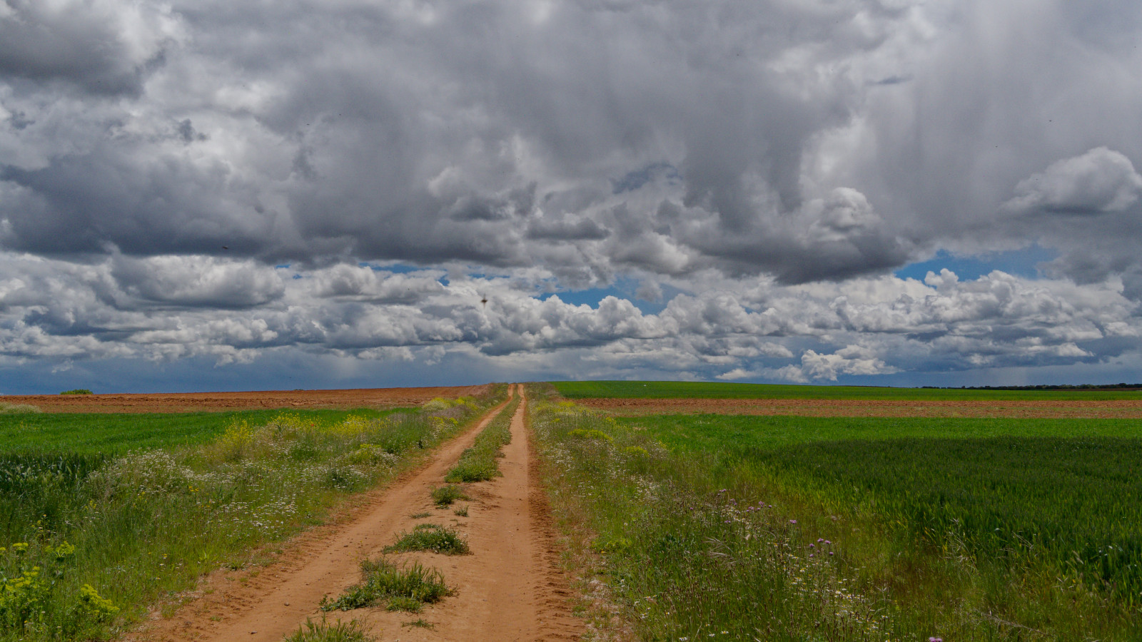 winding dirt road
