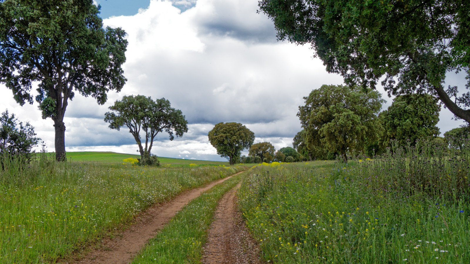winding dirt road