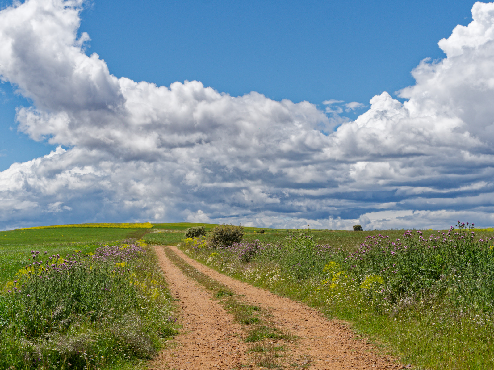 winding dirt road