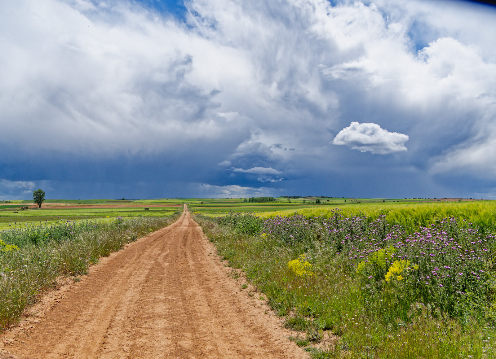 winding dirt road