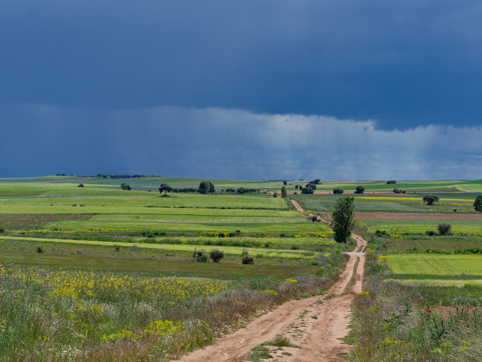 winding dirt road
