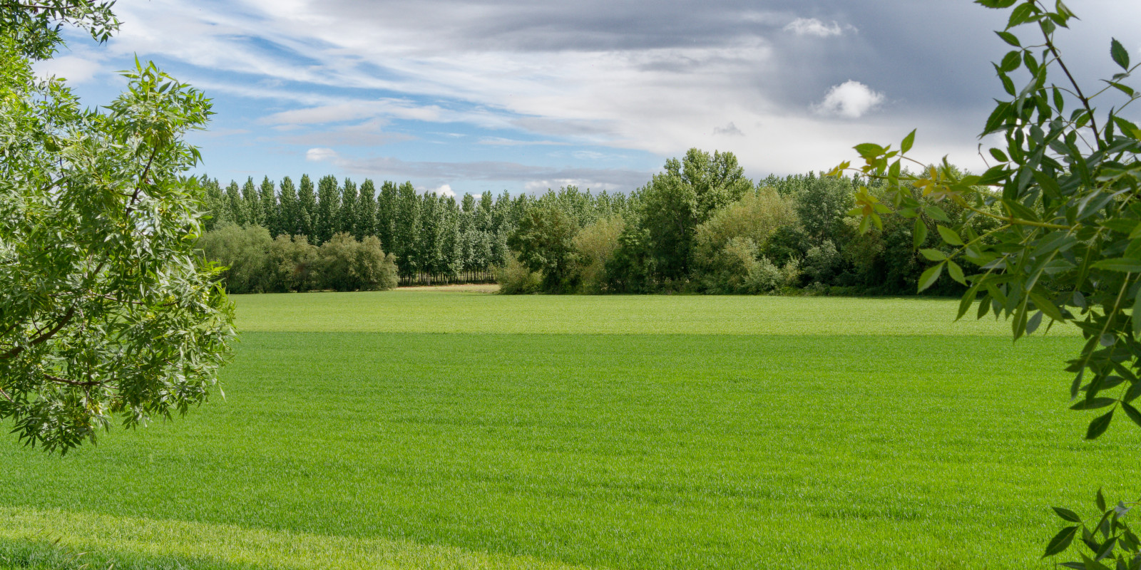 rail trail field view