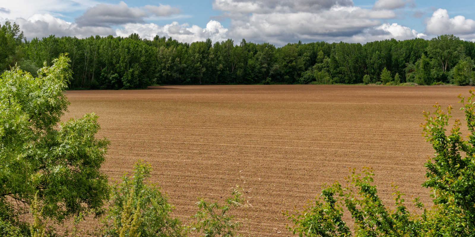 rail trail field view