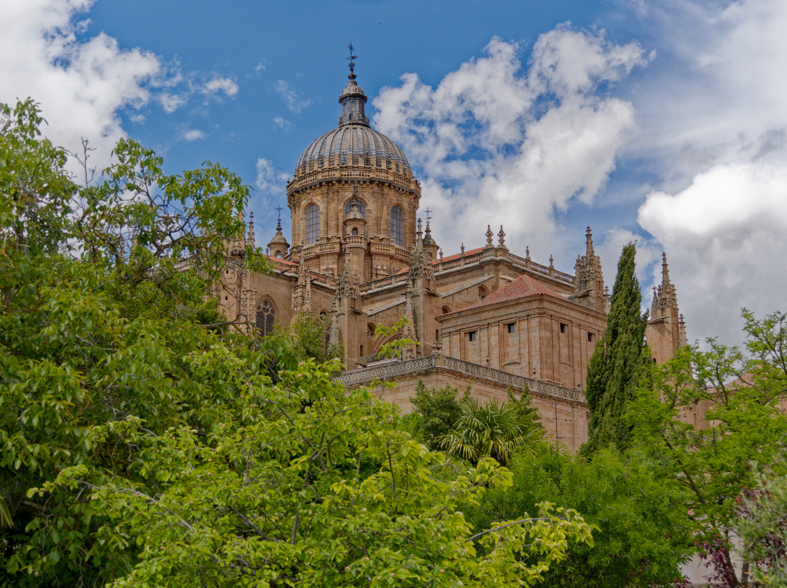 Salamanca Cathedral