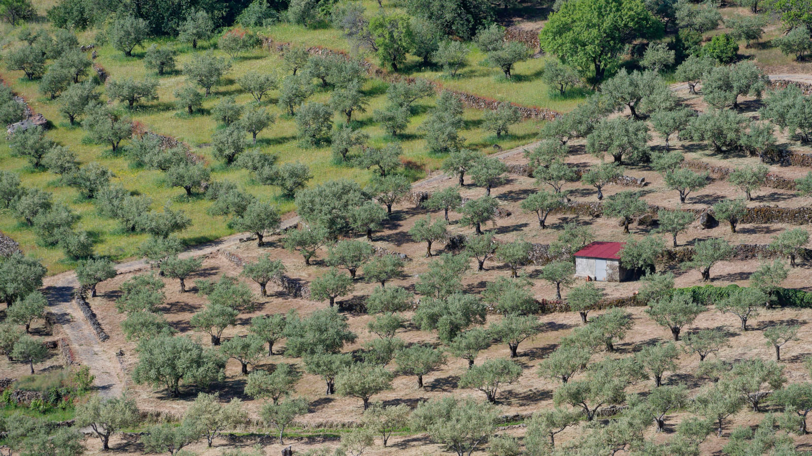 views from Via Verde