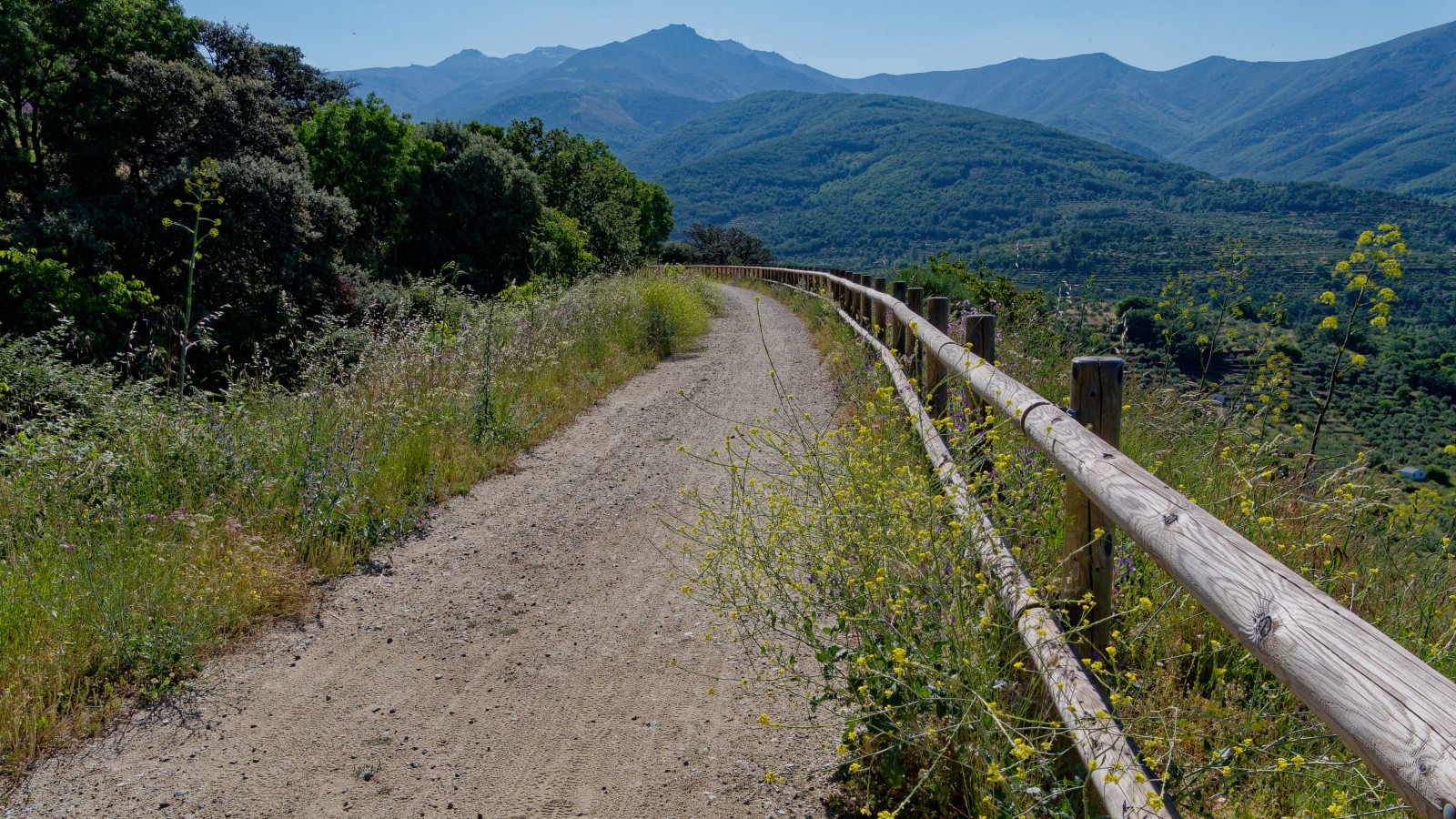 views from Via Verde