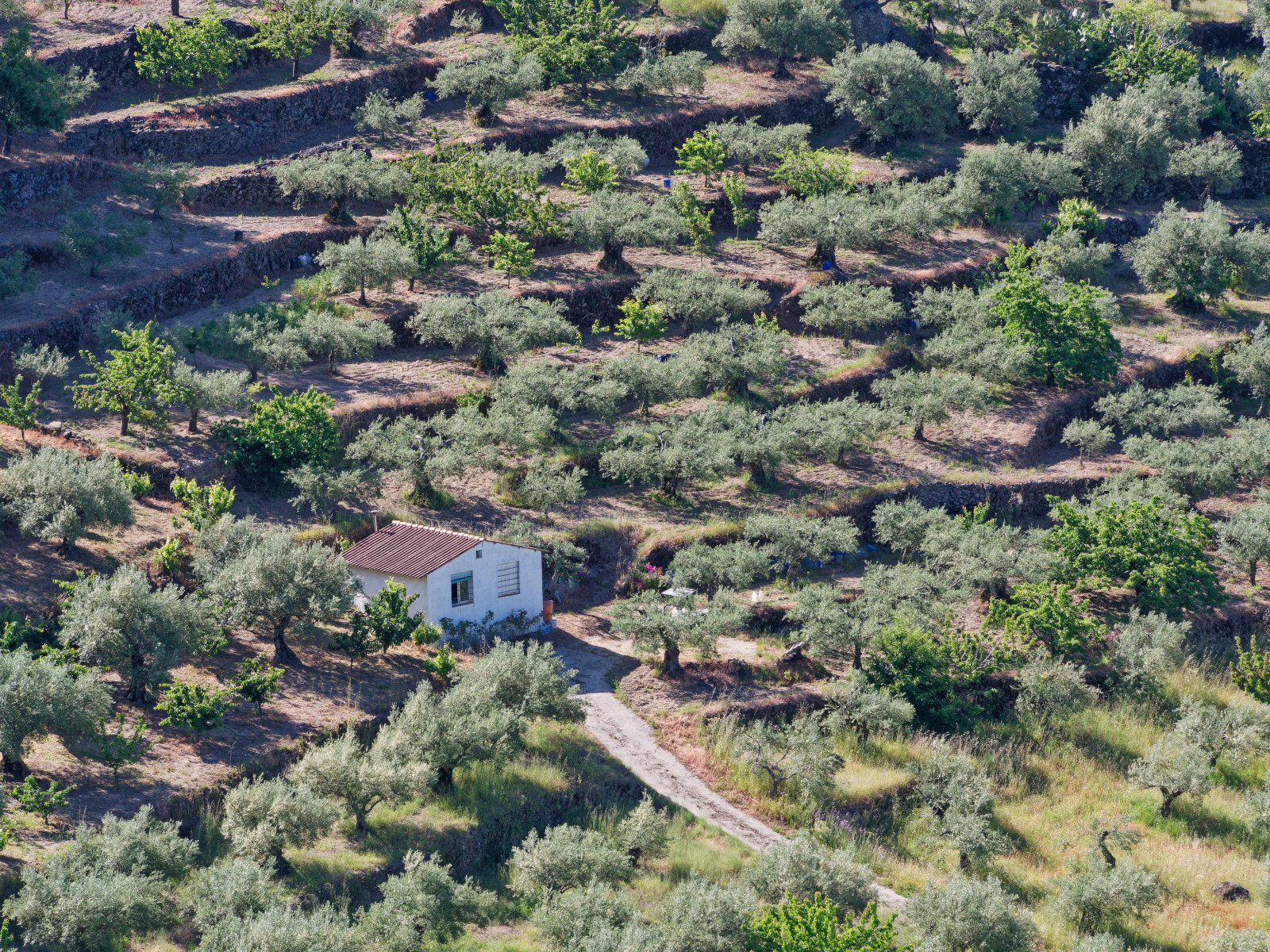 views from Via Verde