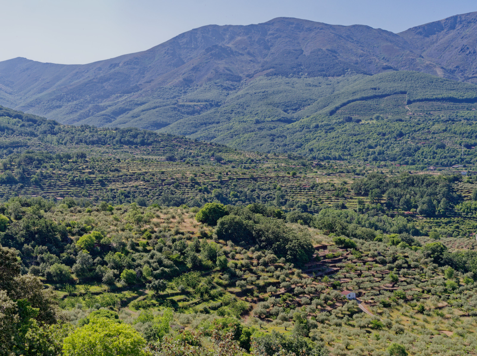 views from Via Verde