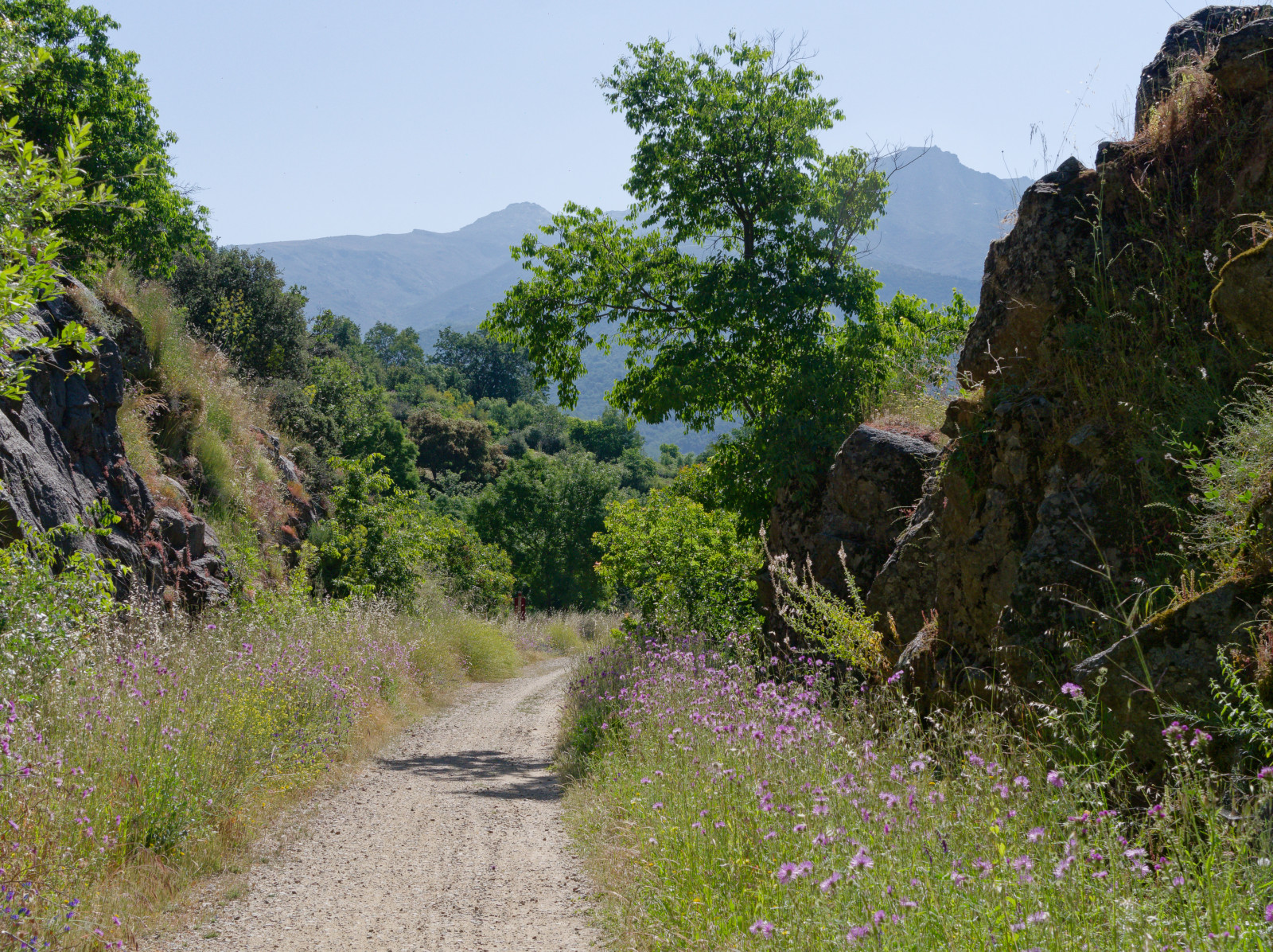 views from Via Verde