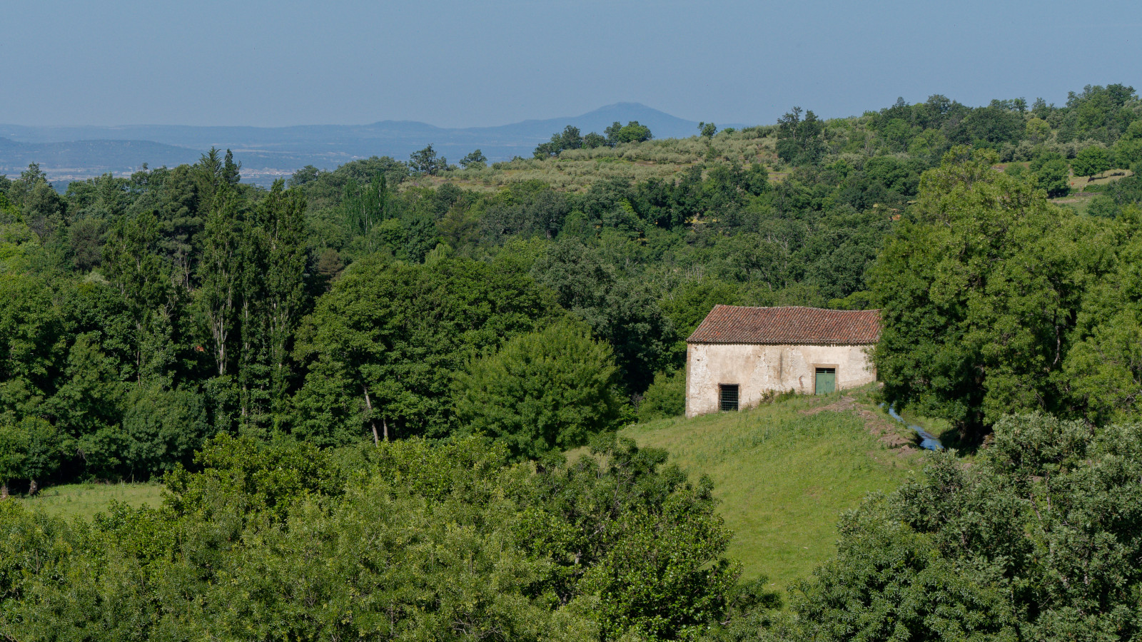 views from Via Verde