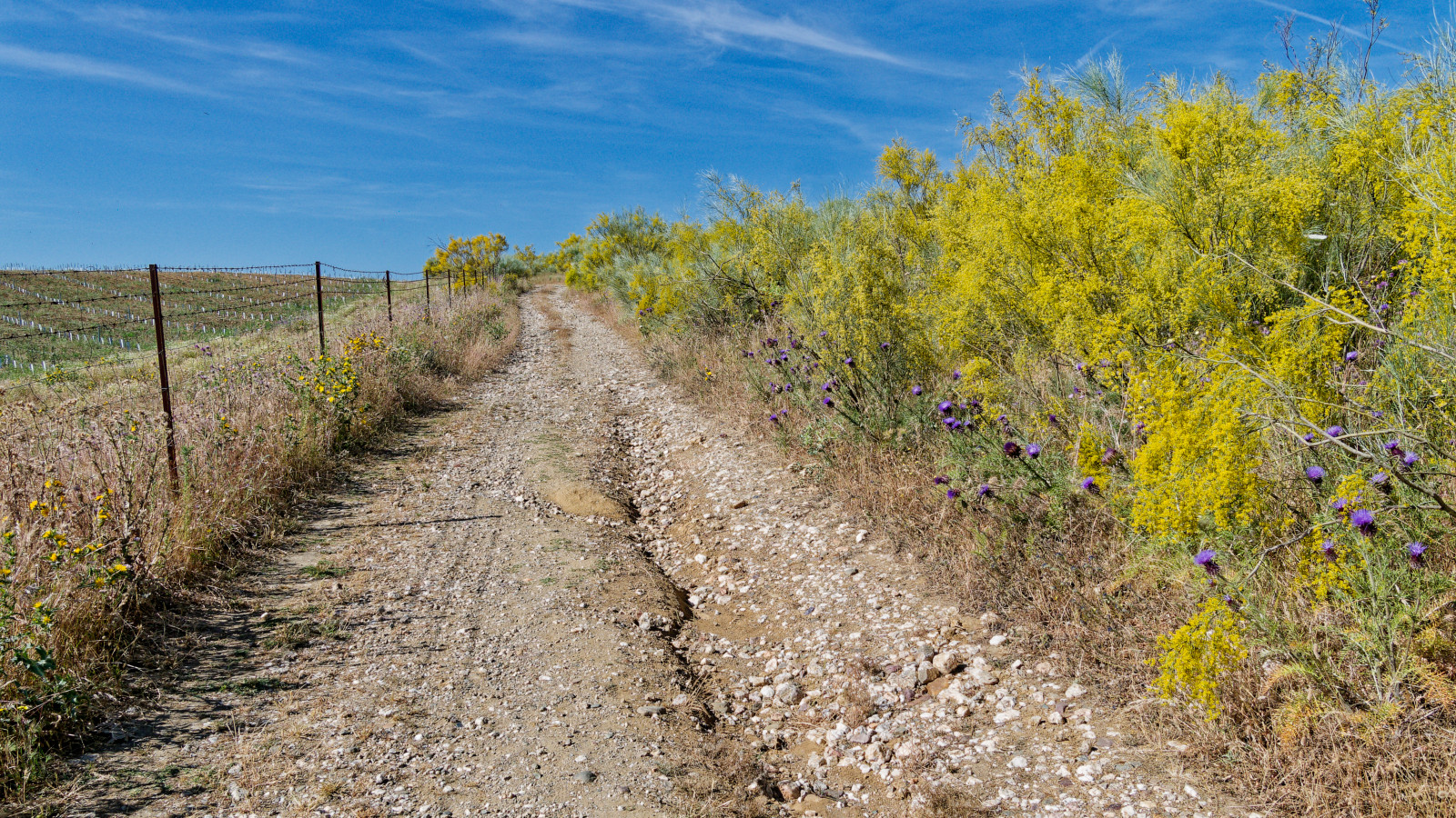 EV1 outside Galisteo