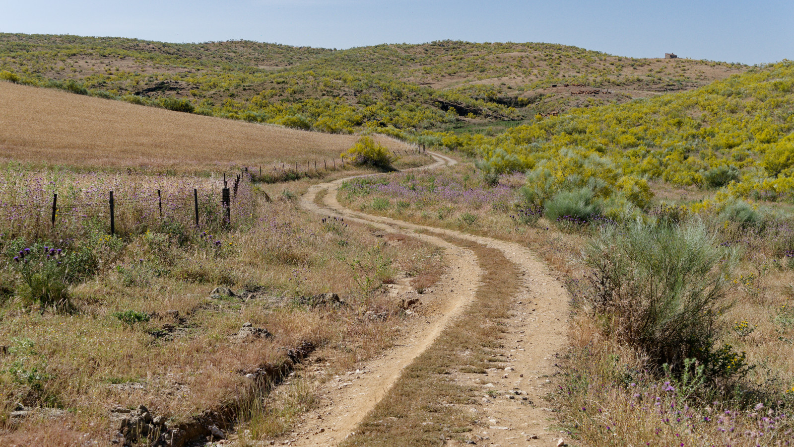 EV1 outside Galisteo