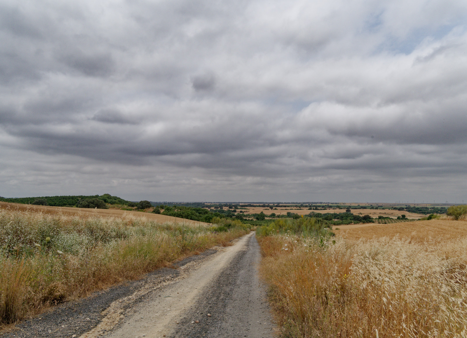 Andalucia country road