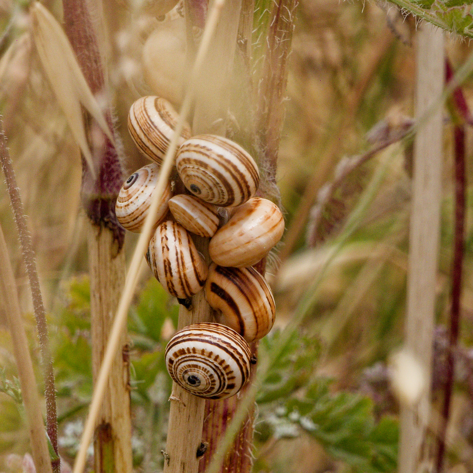 Andalucia country road
