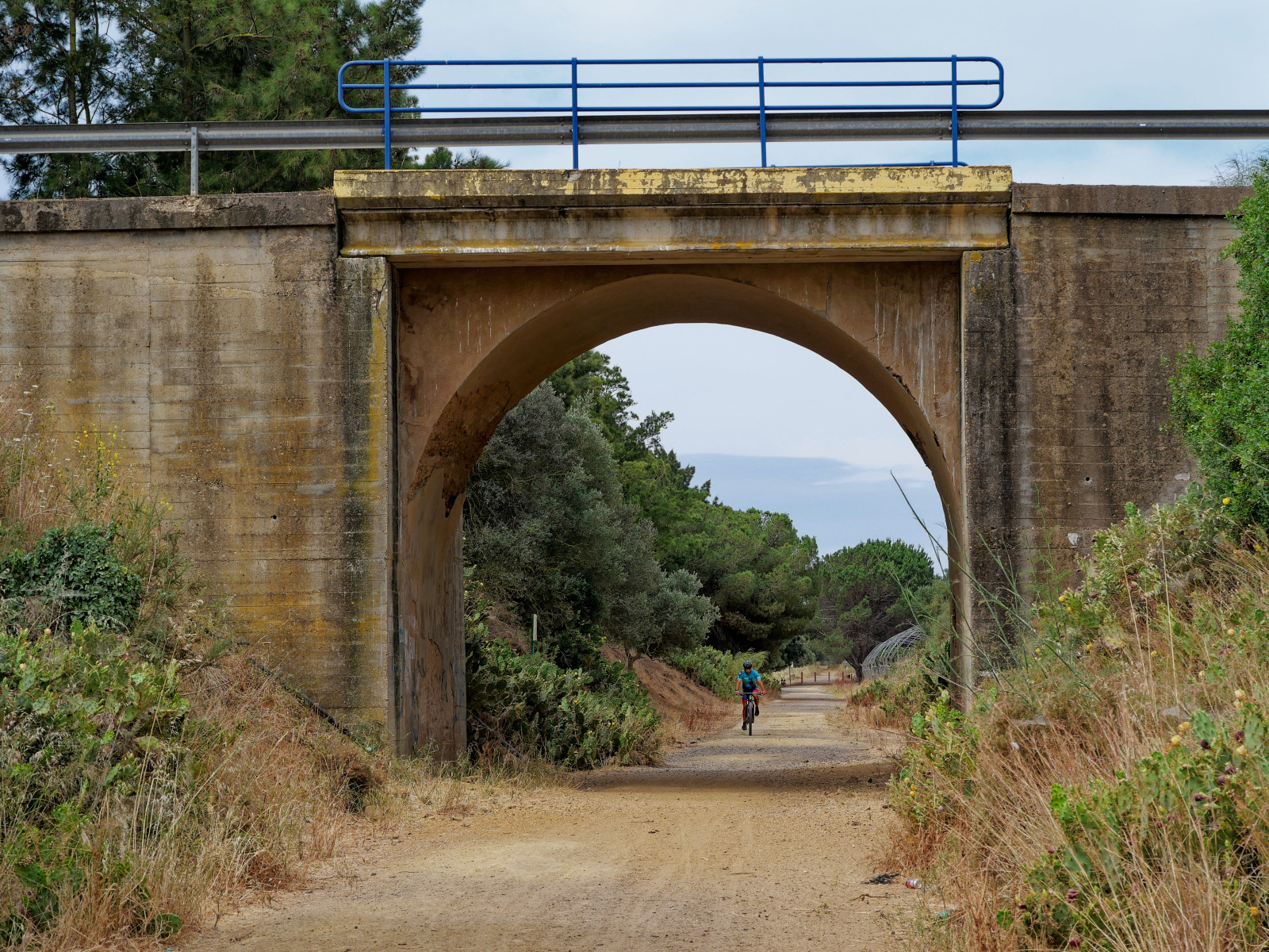 Andalucia bike path into Ayamonte