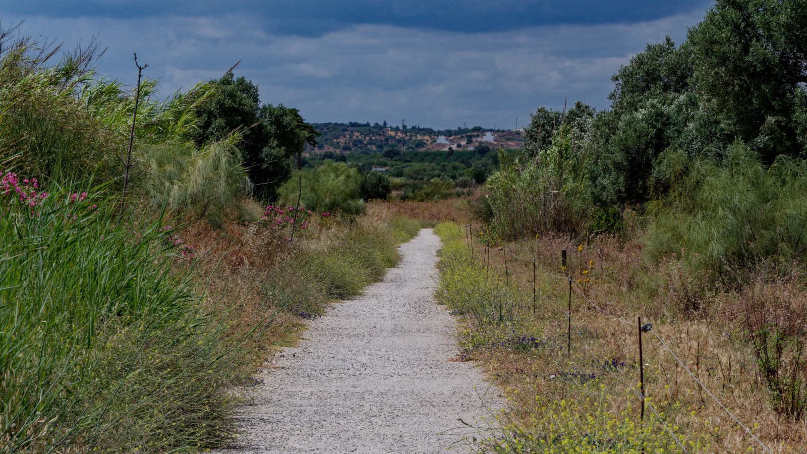 portugal bike path
