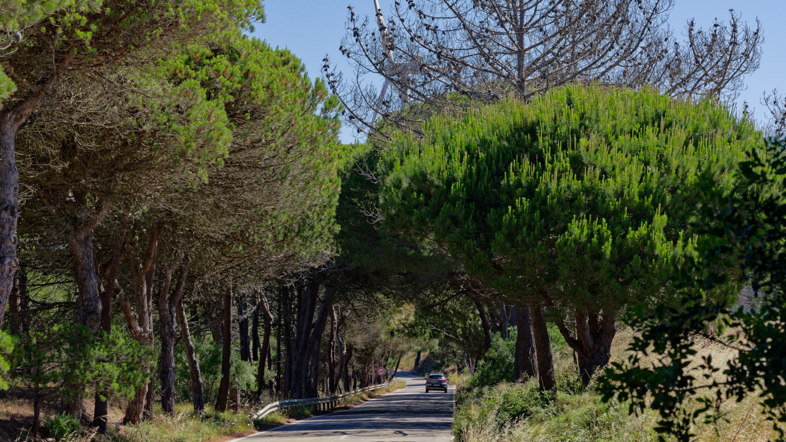 sticking to the road