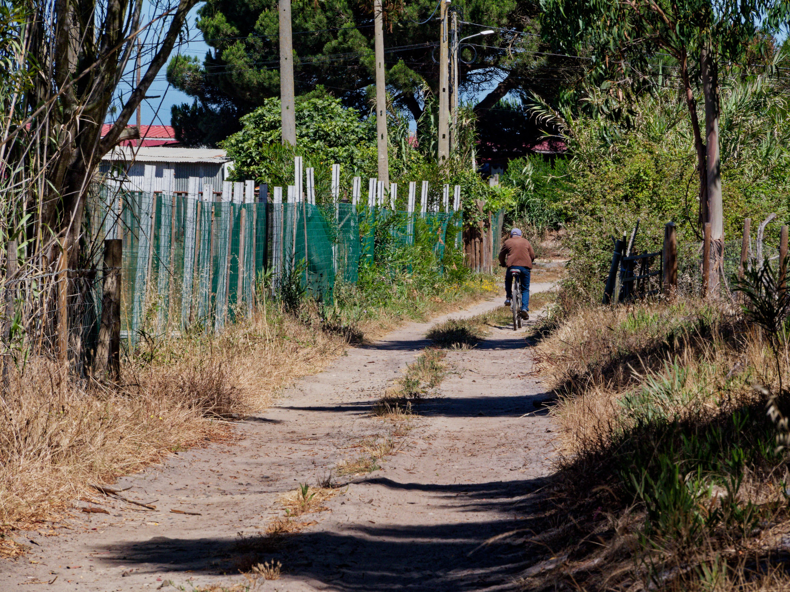 Portuguese cyclist
