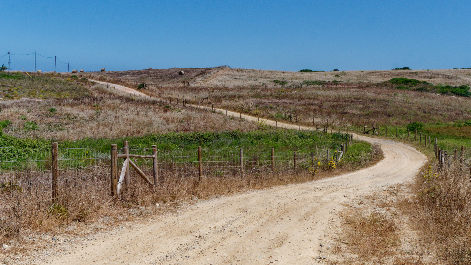 country roads through grain fields