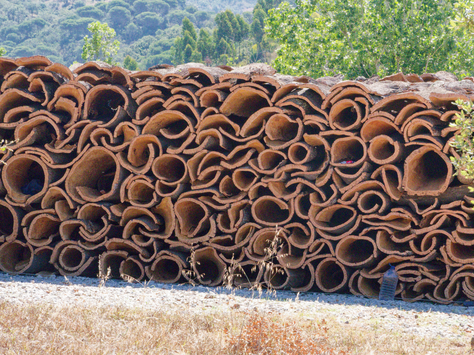 cork pile