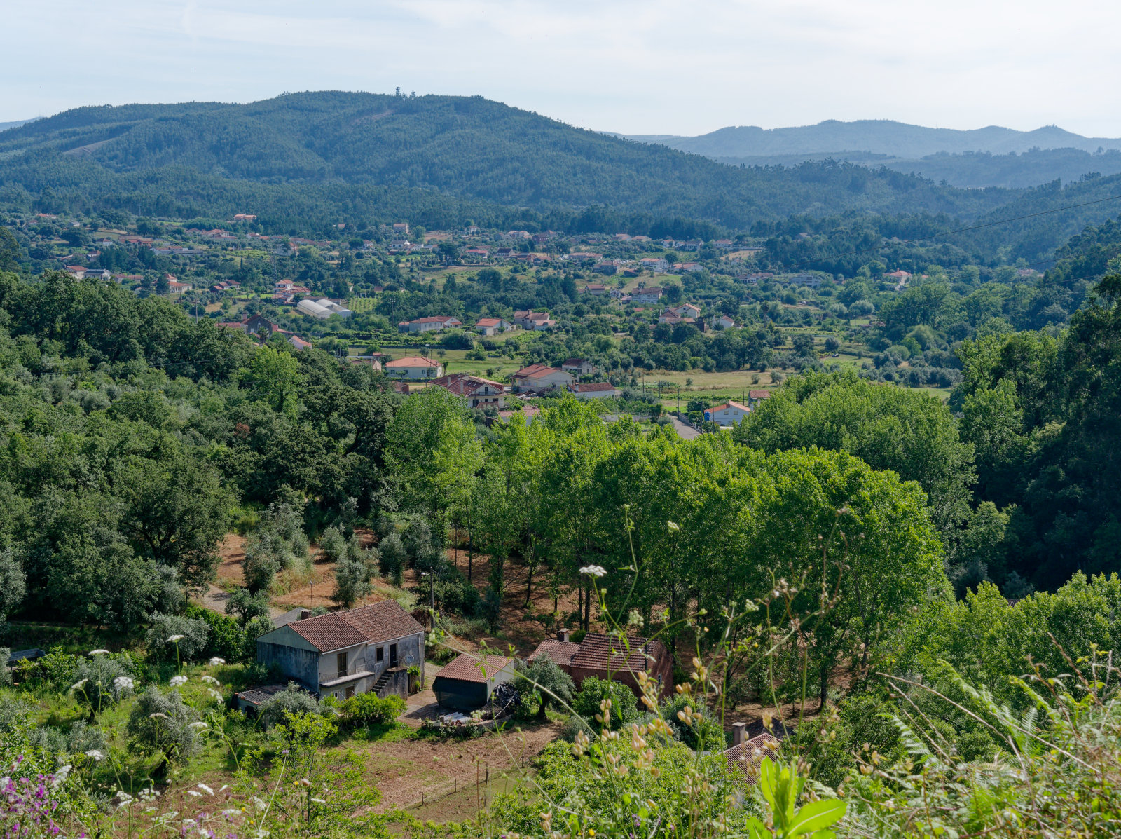 Portuguese landscape