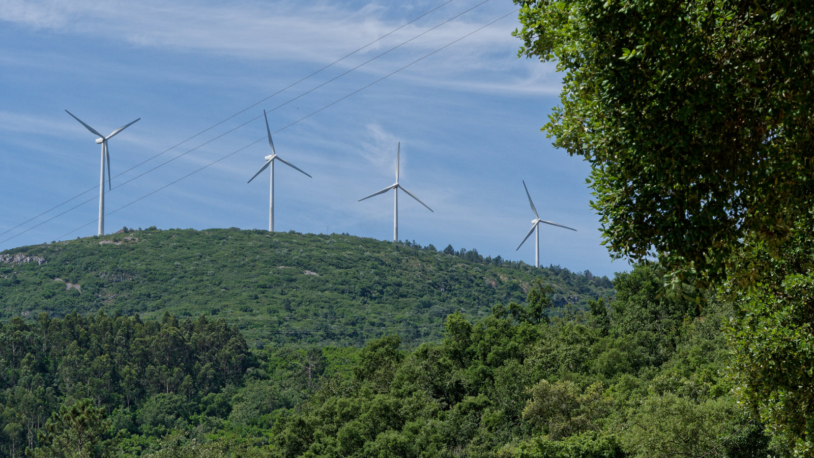 wind turbines