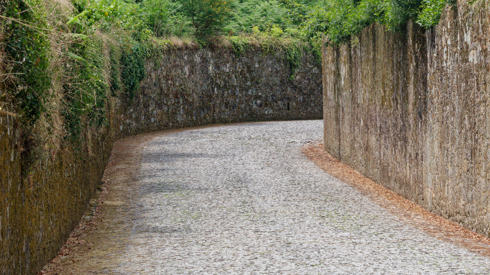 lane with high walls