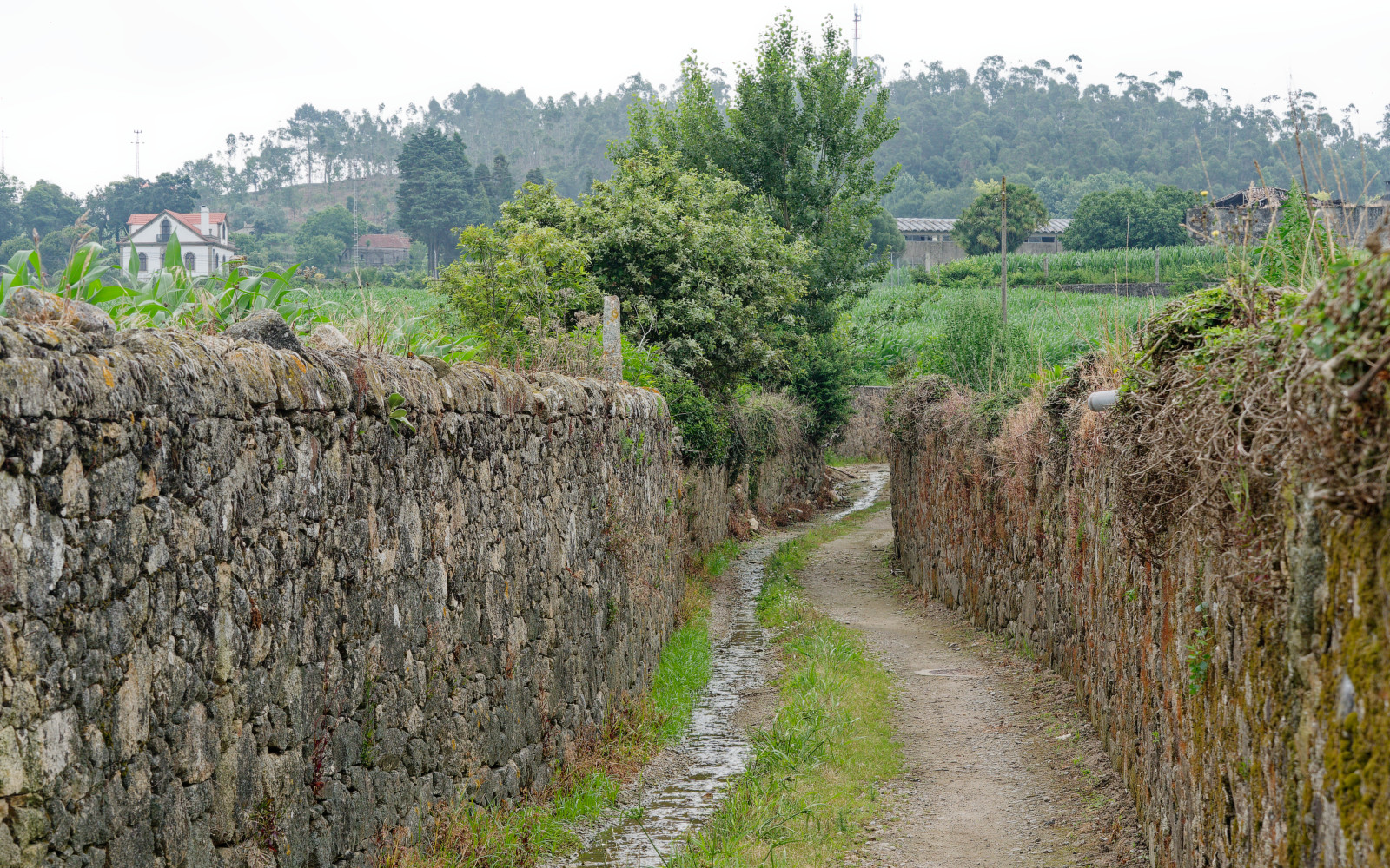 narrow Portuguese walled lanes