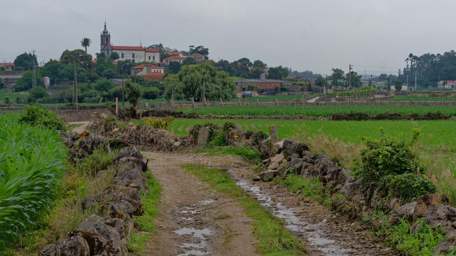 narrow Portuguese walled lanes
