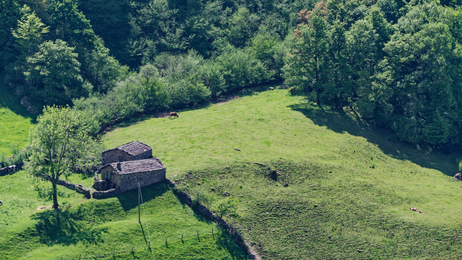 climb out of vega de pas