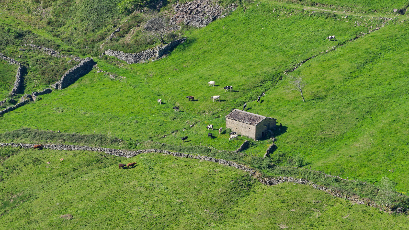 climb out of vega de pas